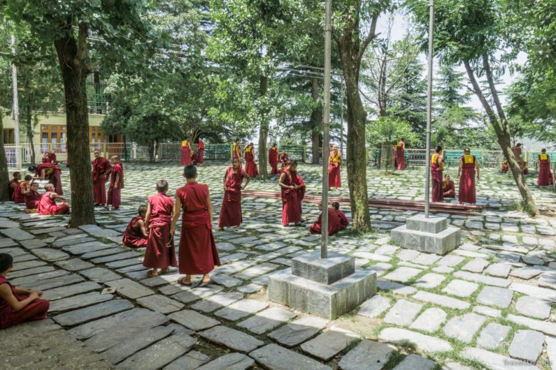 Дворик, где на глазах туристов пасутся тибетские монахи. .