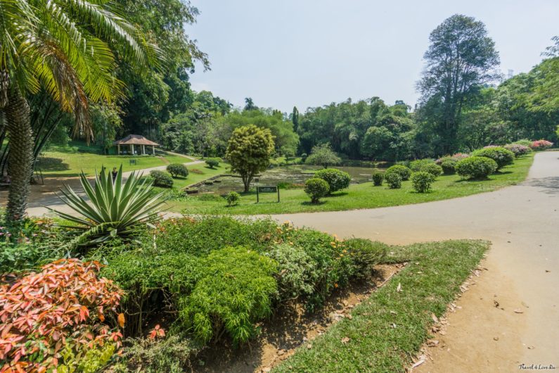 Ботанический сад Канди