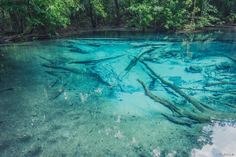 Emerald Pool, голубое озеро в Краби